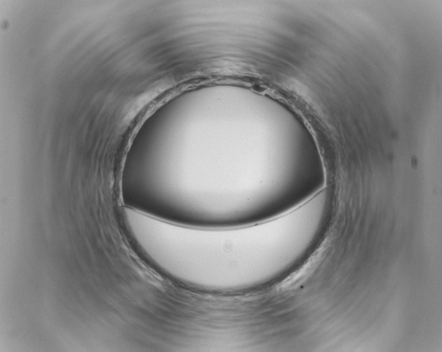 X0000088921065200706080844