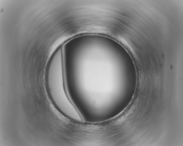 X0000088921085200706080844