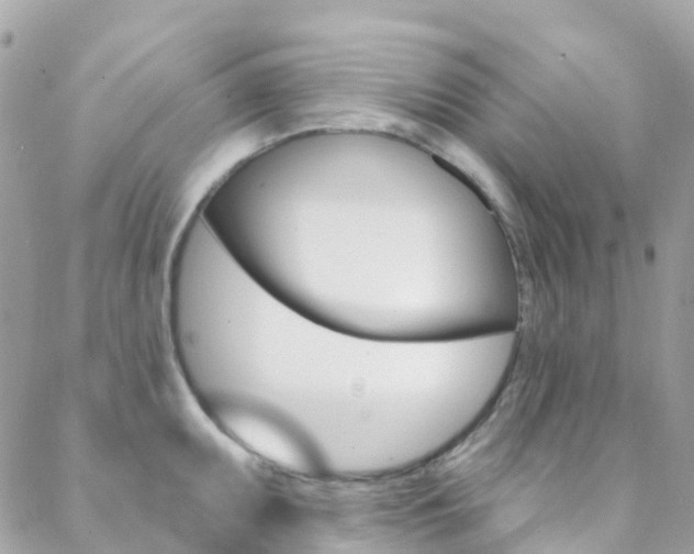 X0000088921095200706080844