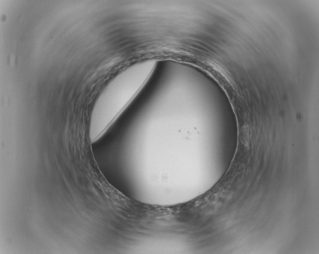 X0000088921111200706080843