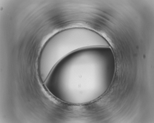 X0000088921134200706080844