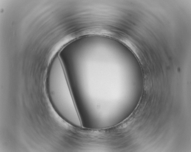 X0000088921139200706080844