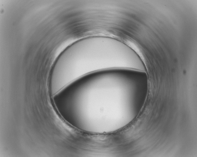X0000088921141200706080844
