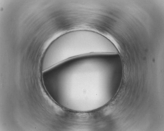 X0000088921142200706080844