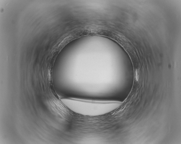 X0000088921155200706080843