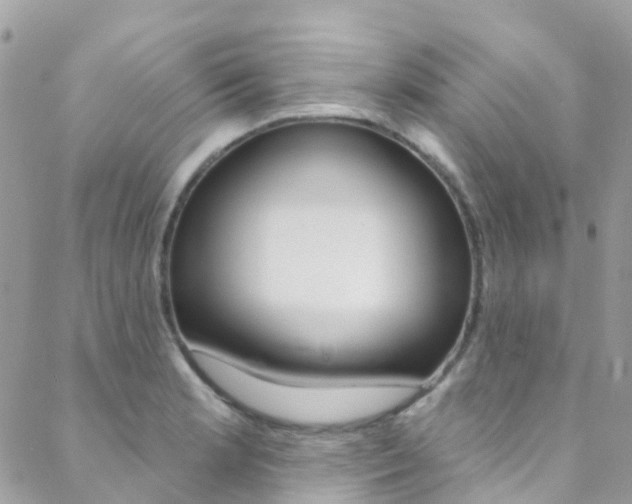 X0000088921181200706080843