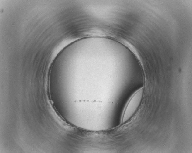 X0000088921195200706080842