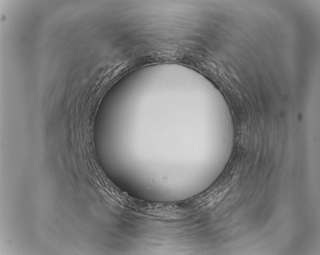 X0000088921201200706080842