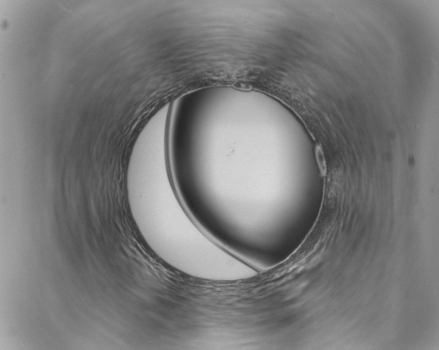 X0000088921202200706080842