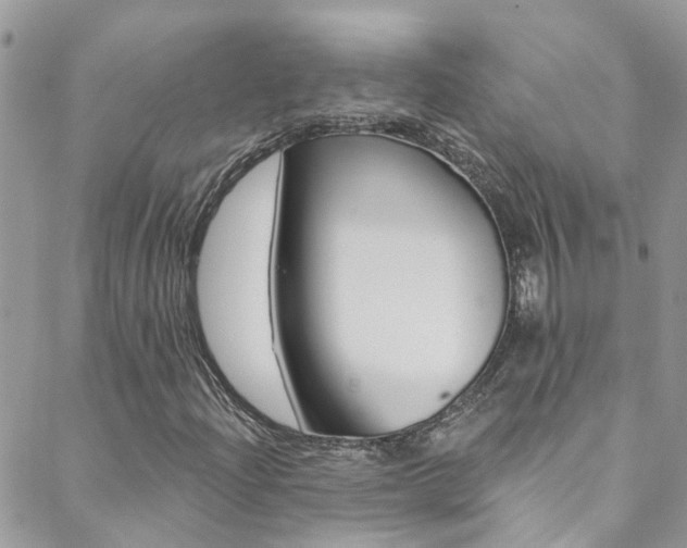 X0000088921204200706080842
