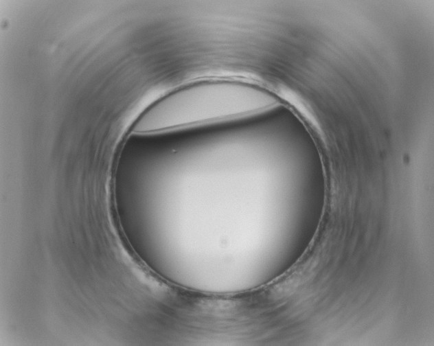 X0000088921237200706080842