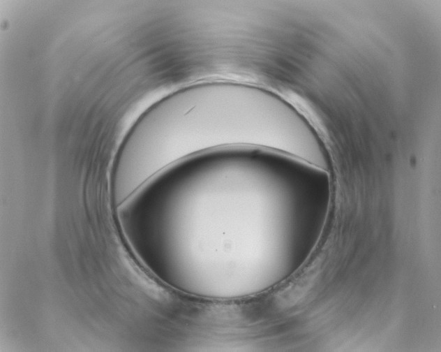X0000088921238200706080842