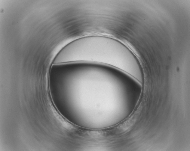 X0000088921246200706080842