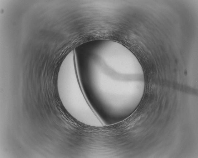 X0000088921250200706080841
