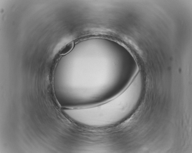 X0000088921261200706080841