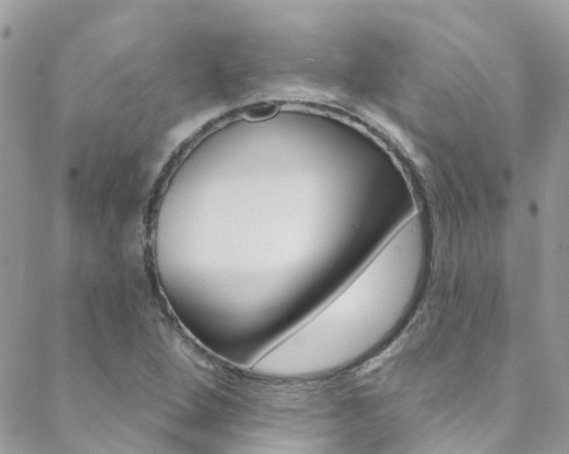X0000088921264200706080841