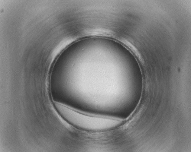 X0000088921285200706080841