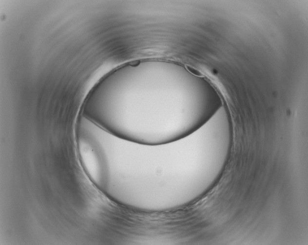 X0000088921291200706080841