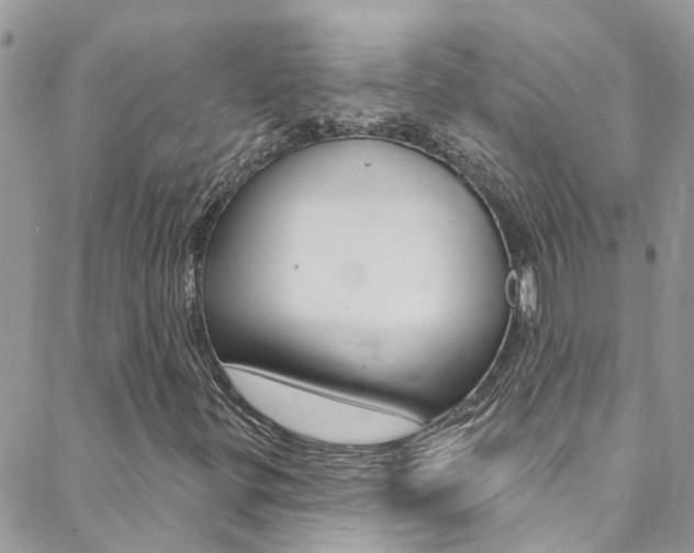 X0000088921299200706080840