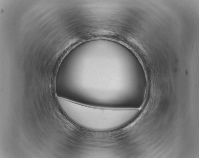 X0000088921305200706080840