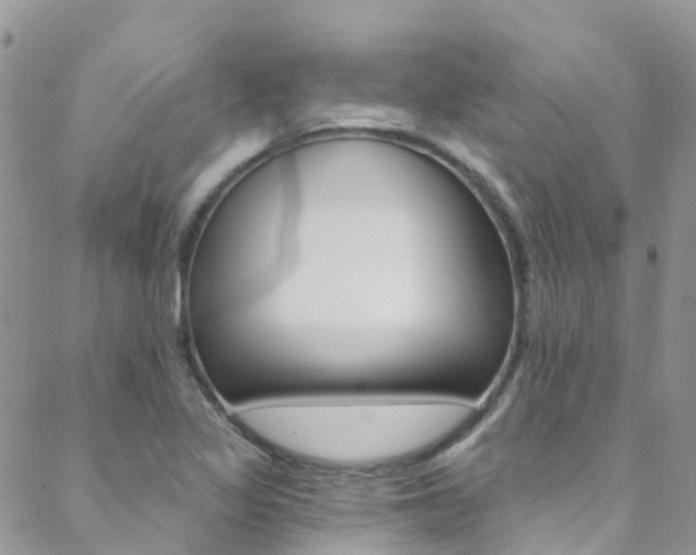 X0000088921317200706080840