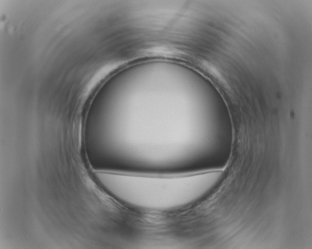 X0000088921323200706080840