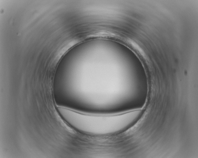 X0000088921329200706080840