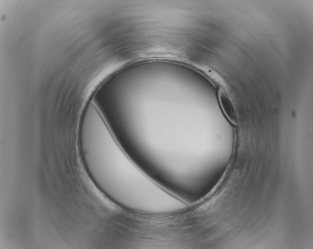 X0000088921333200706080841