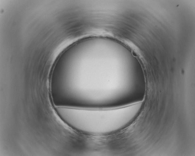 X0000088921335200706080841