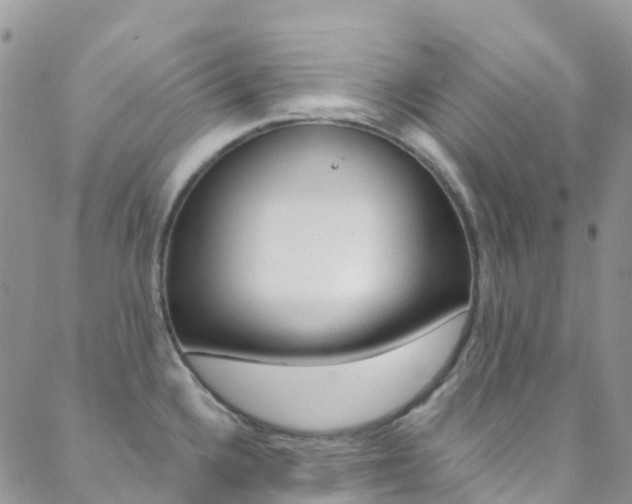X0000088921336200706080841