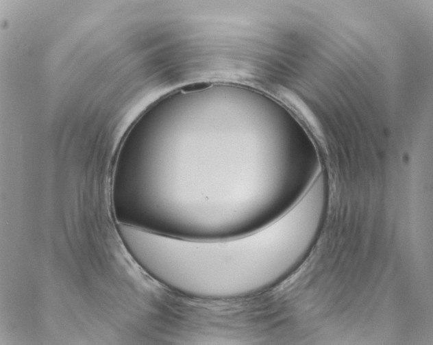 X0000088921340200706080841