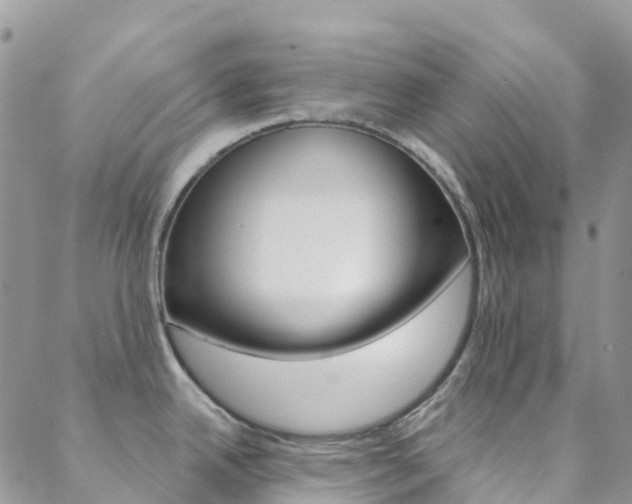 X0000088921342200706080841