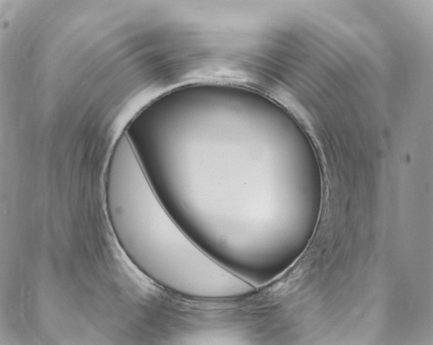 X0000088921344200706080841