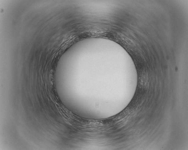 X0000088921346200706080840