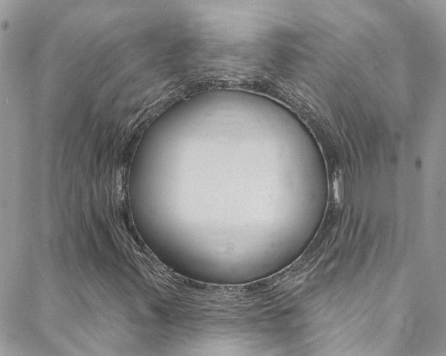 X0000088921347200706080840