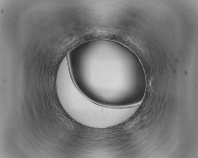 X0000088921348200706080840