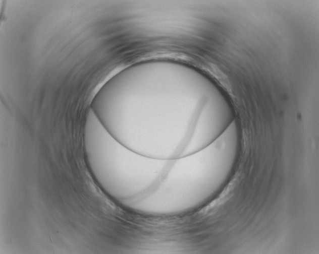 X0000088921369200706080840