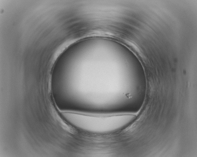 X0000088921371200706080840