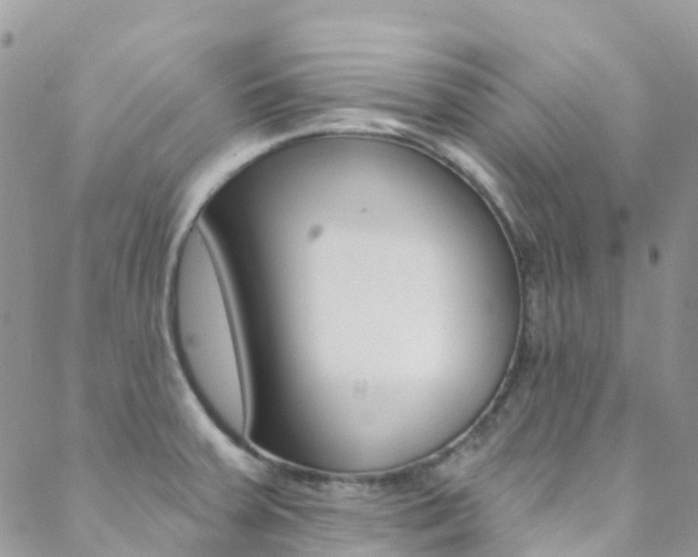 X0000088921379200706080839