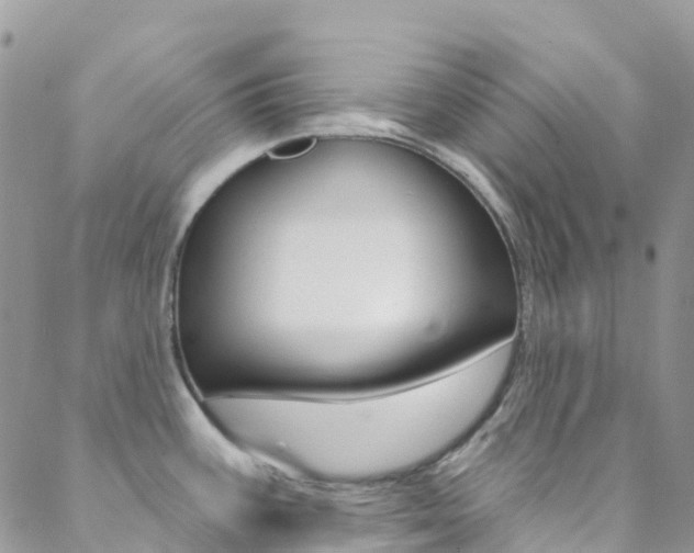 X0000088921387200706080839