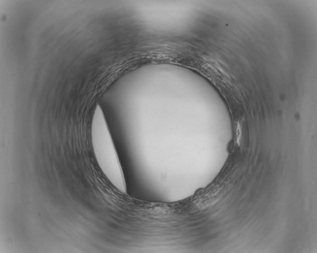X0000088921395200706080838