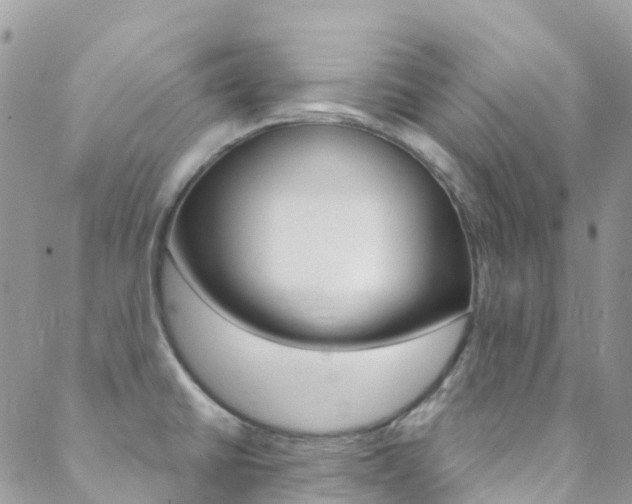 X0000088921430200706080839