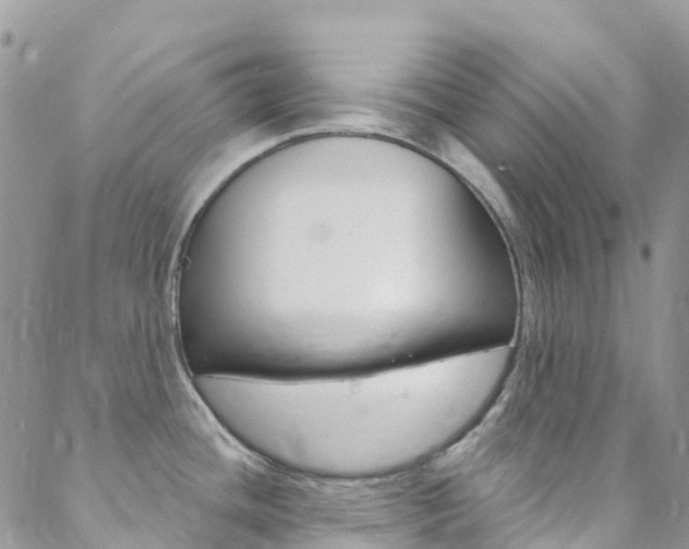 X0000088921436200706080839