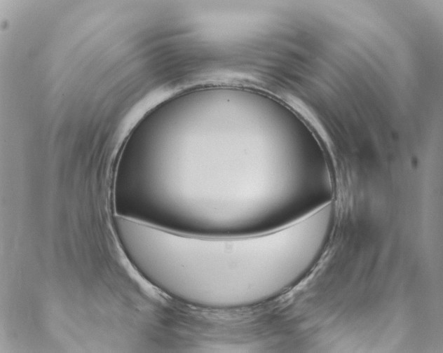 X0000088921437200706080839