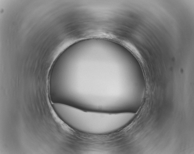 X0000088921439200706080839