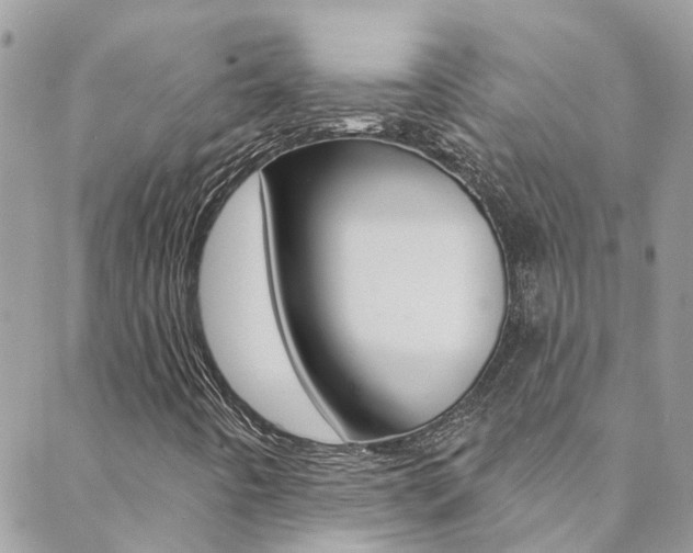 X0000088921442200706080838