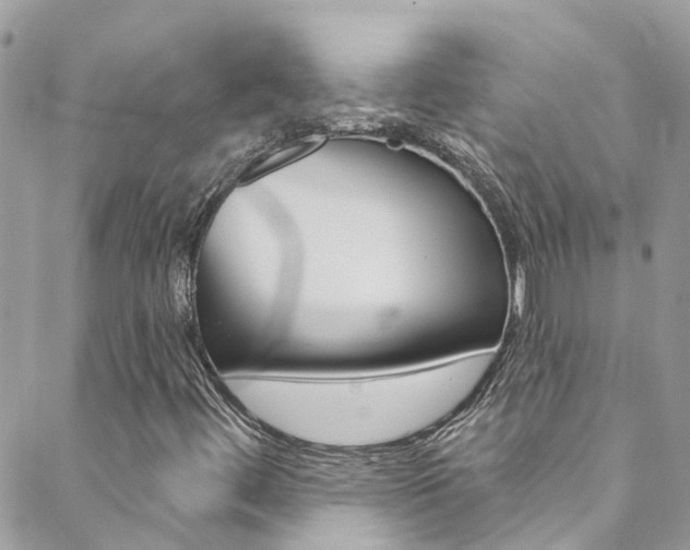 X0000088921444200706080838