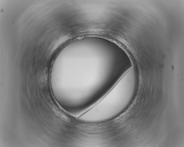 X0000088921450200706080838