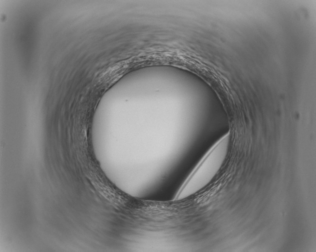X0000088921489200706080837