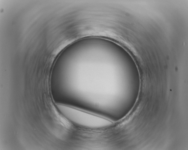 X0000088921513200706080837